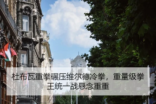 杜布瓦重拳碾压维尔德冷拳，重量级拳王统一战悬念重重