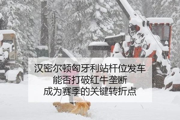 han-mi-er-dun-xiong-ya-li-zhan-gan-wei-fa-che-neng-fou-da-po-hong-niu-long-duan-cheng-wei-sai-ji-de-guan-jian-zhuan-zhe-2-674.jpg